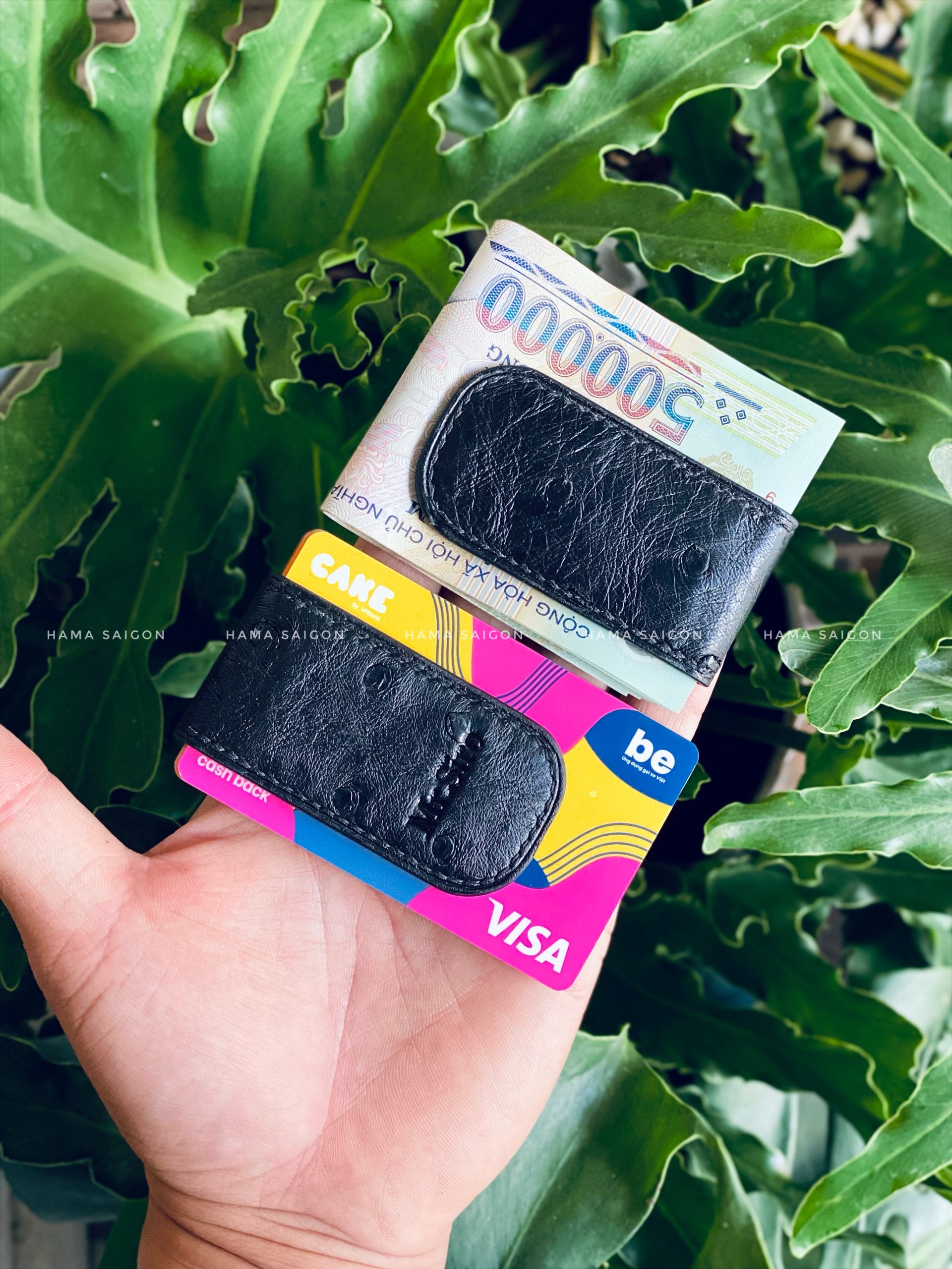 E4501451-A1A5-4FAE-AD9C-C72B5470C474