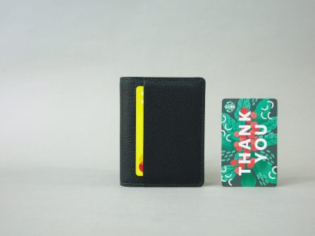 No.5 wallet goat leather Sapin
